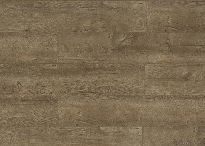 TF6009-F_sideview-searchresults