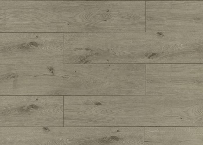 TF6019-F_sideview-searchresults