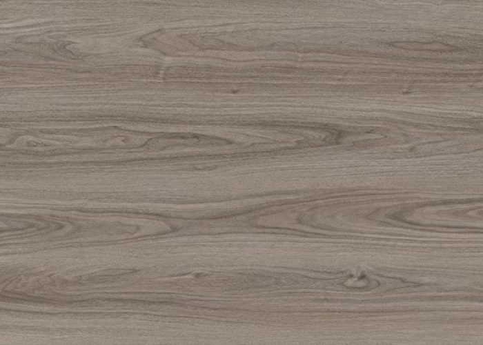 TF6603-F_1