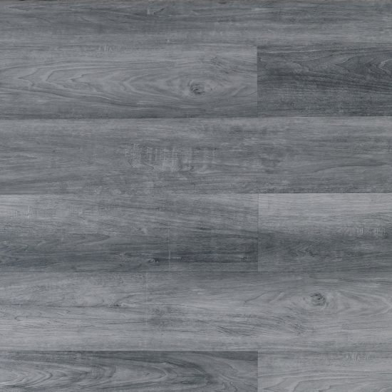 TFGD203_1
