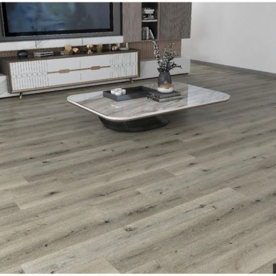 arctic516760